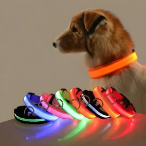 LumiGlow LED Dog Collar